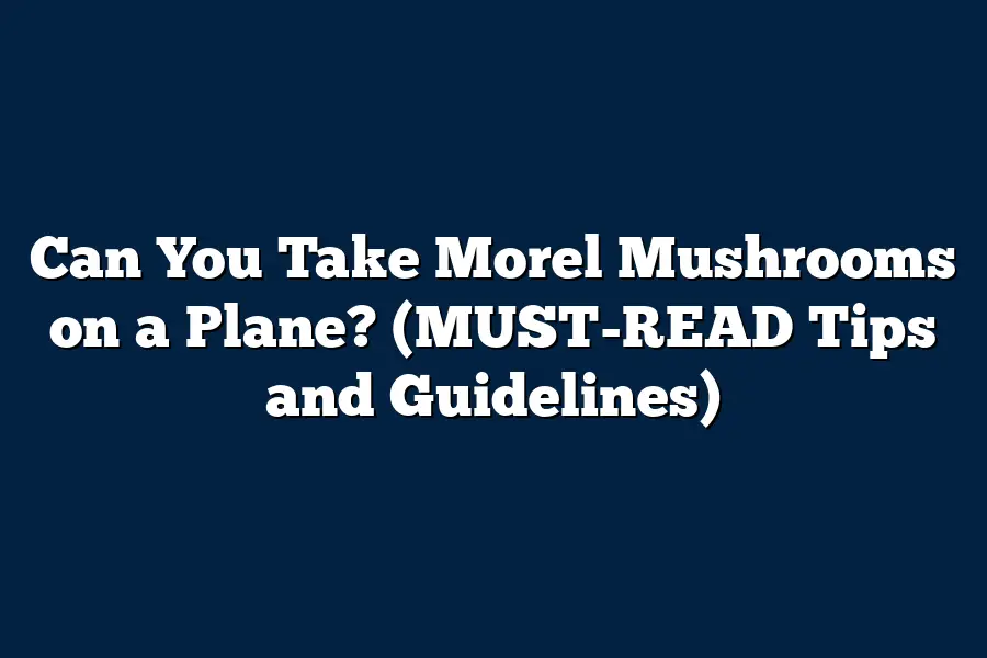 Can You Take Morel Mushrooms on a Plane? (MUST-READ Tips and Guidelines)