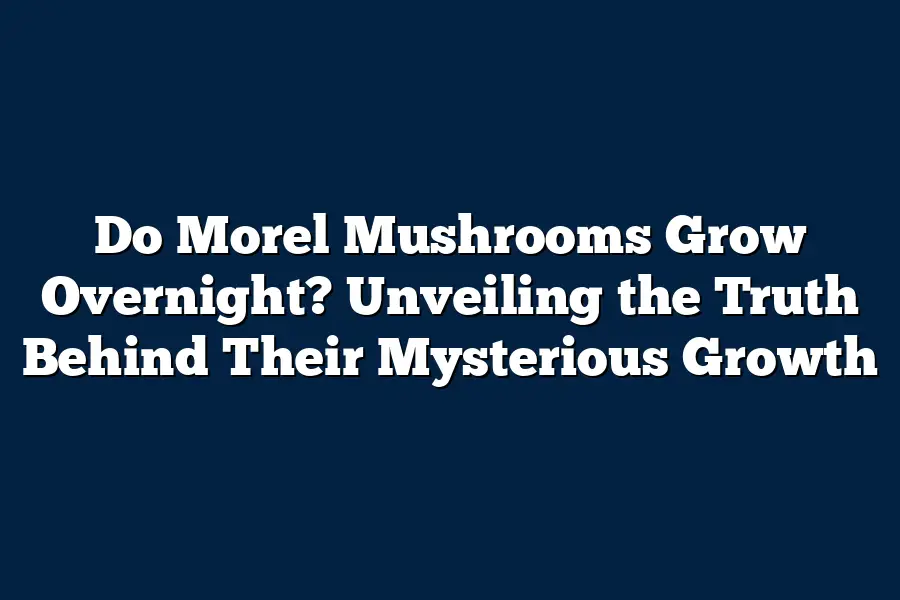 Do Morel Mushrooms Grow Overnight? Unveiling the Truth Behind Their Mysterious Growth