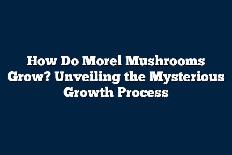 How Do Morel Mushrooms Grow? Unveiling the Mysterious Growth Process