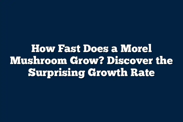 How Fast Does a Morel Mushroom Grow? Discover the Surprising Growth