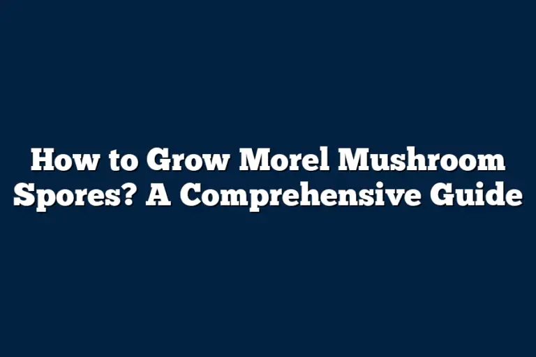 How to Grow Morel Mushroom Spores? A Comprehensive Guide Mushroom Wow