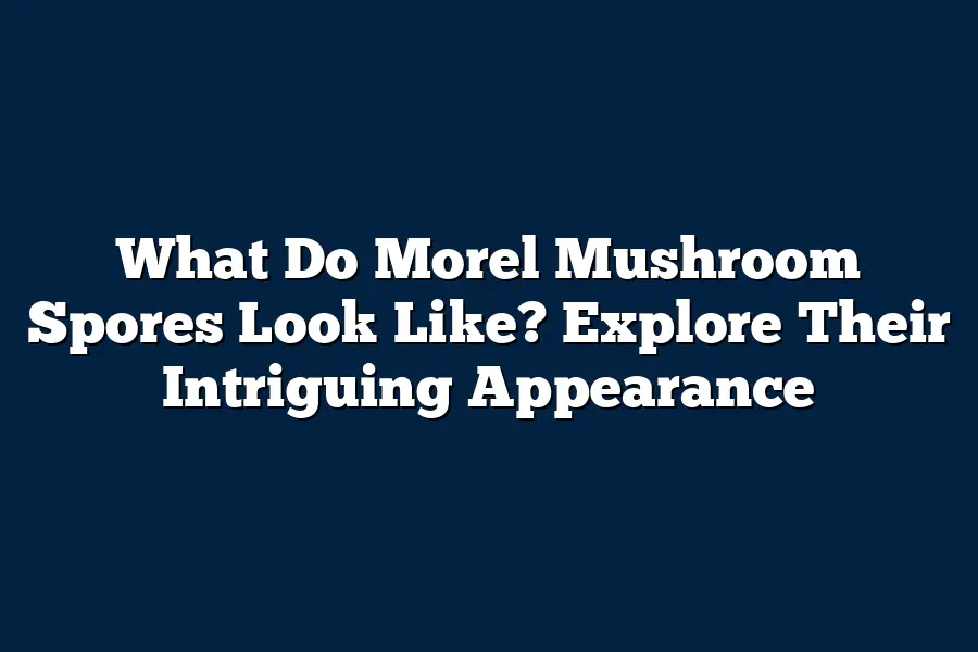 What Do Morel Mushroom Spores Look Like? Explore Their Intriguing Appearance