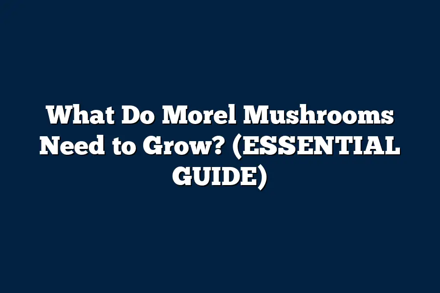 What Do Morel Mushrooms Need to Grow? (ESSENTIAL GUIDE) Mushroom Wow