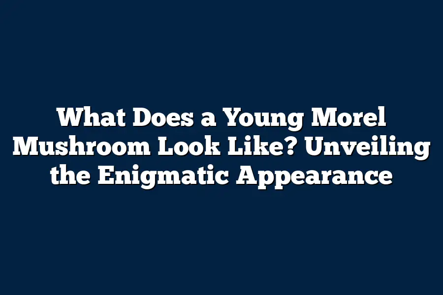 What Does a Young Morel Mushroom Look Like? Unveiling the Enigmatic Appearance