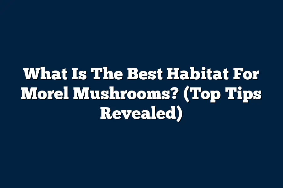 What Is The Best Habitat For Morel Mushrooms? (Top Tips Revealed 