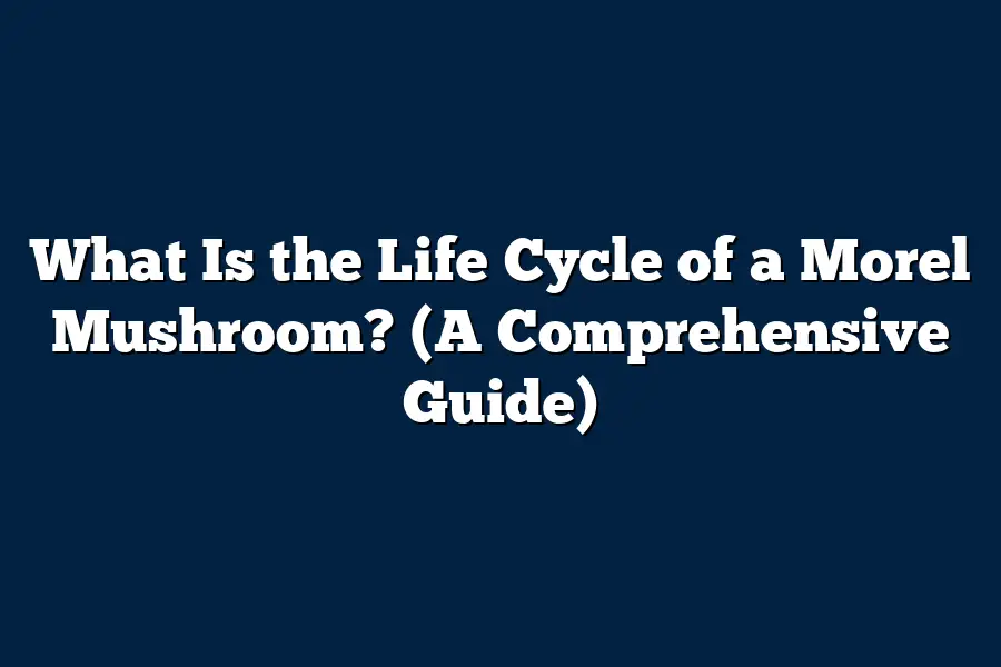 What Is the Life Cycle of a Morel Mushroom? (A Comprehensive Guide)