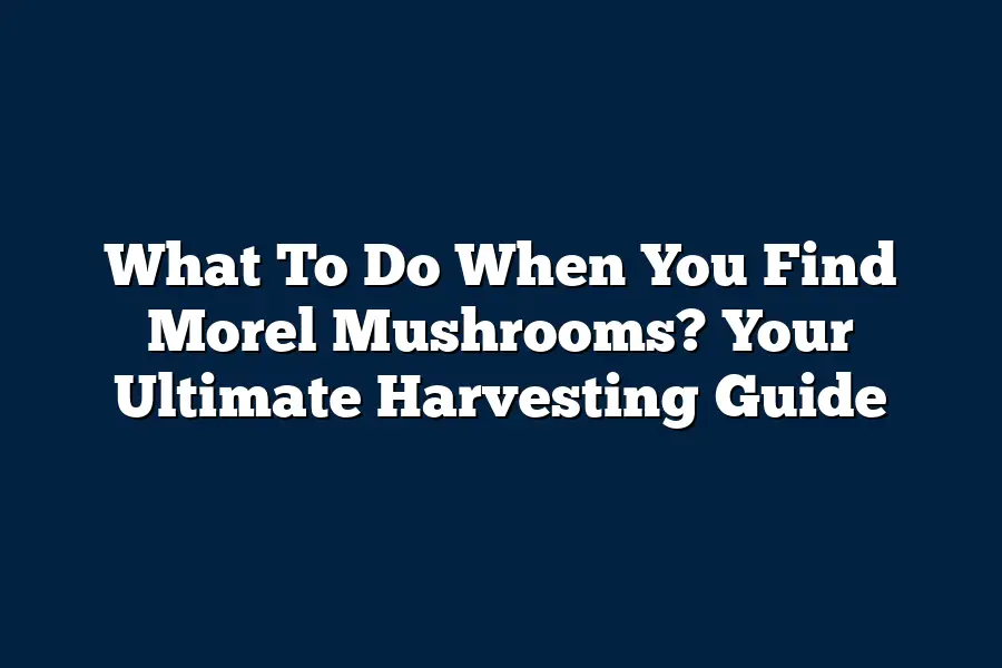 What To Do When You Find Morel Mushrooms? Your Ultimate Harvesting Guide