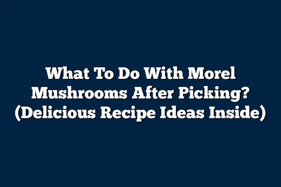 What To Do With Morel Mushrooms After Picking? (Delicious Recipe Ideas