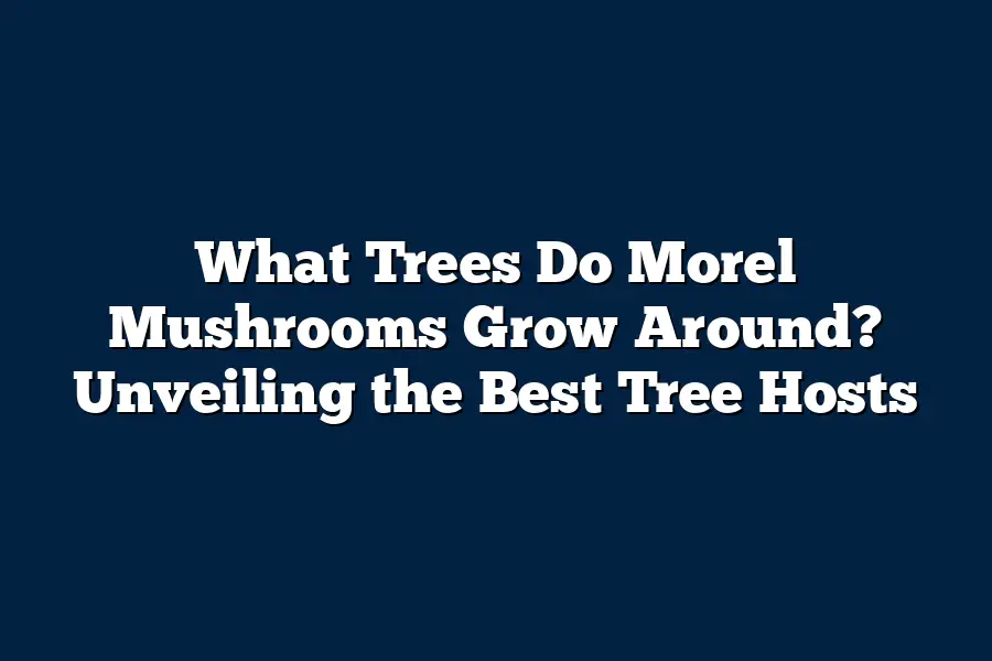 What Trees Do Morel Mushrooms Grow Around? Unveiling the Best Tree