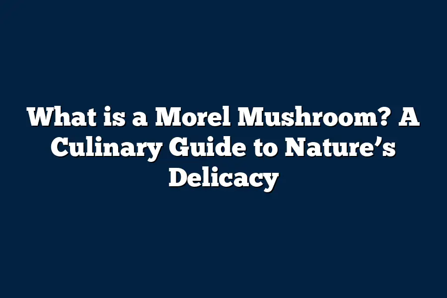 What is a Morel Mushroom? A Culinary Guide to Nature’s Delicacy
