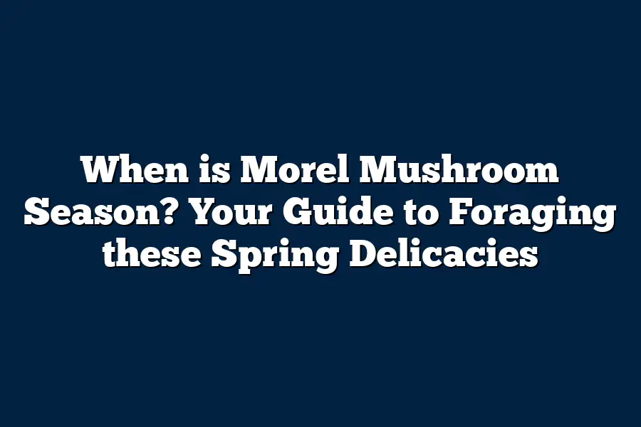 When is Morel Mushroom Season? Your Guide to Foraging these Spring Delicacies