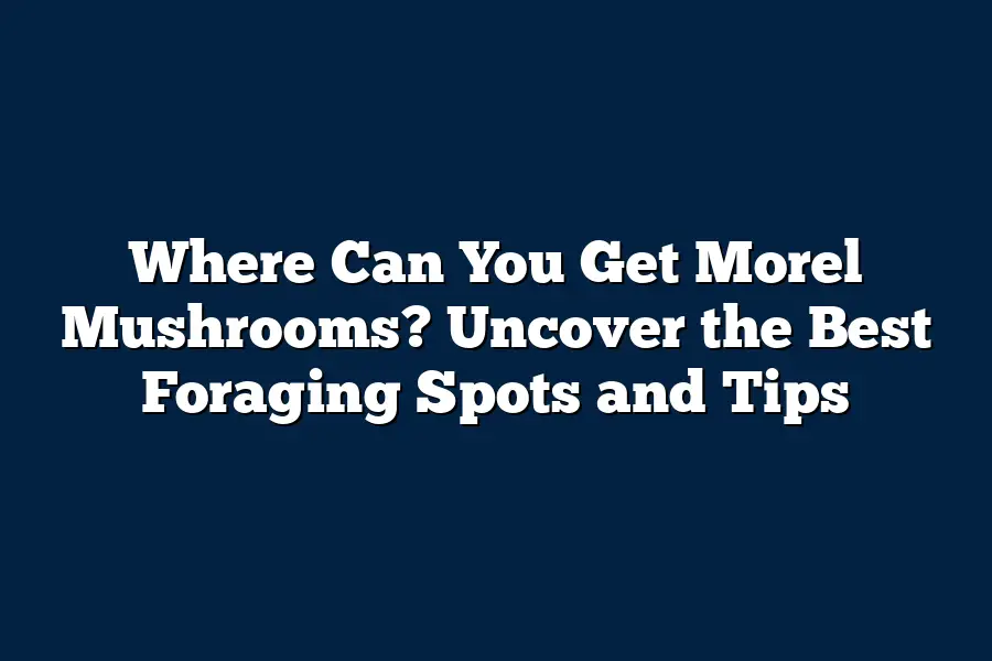 Where Can You Get Morel Mushrooms? Uncover the Best Foraging Spots and Tips
