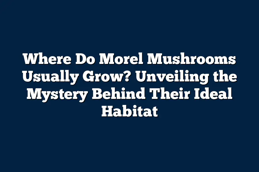 Where Do Morel Mushrooms Usually Grow? Unveiling the Mystery Behind 