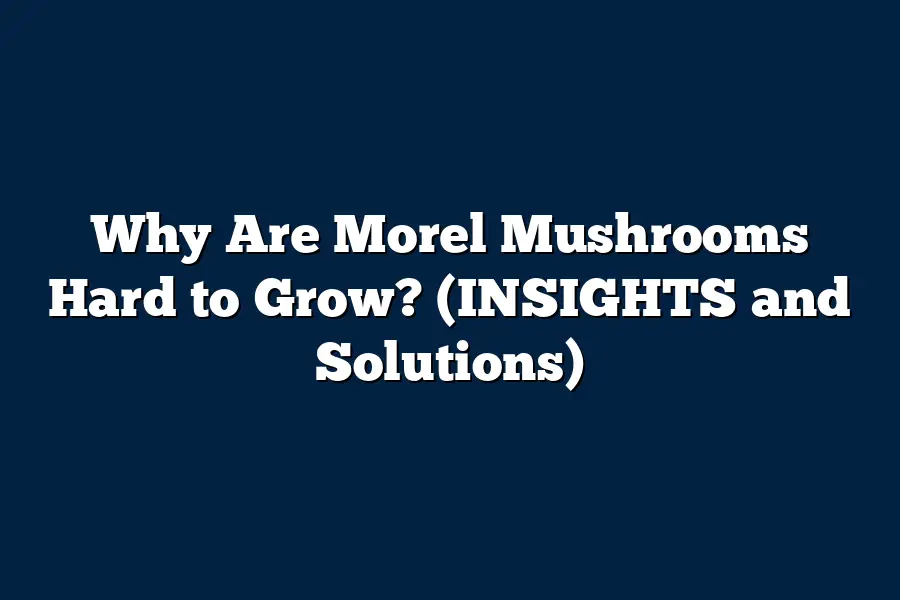 Why Are Morel Mushrooms Hard to Grow? (INSIGHTS and Solutions)