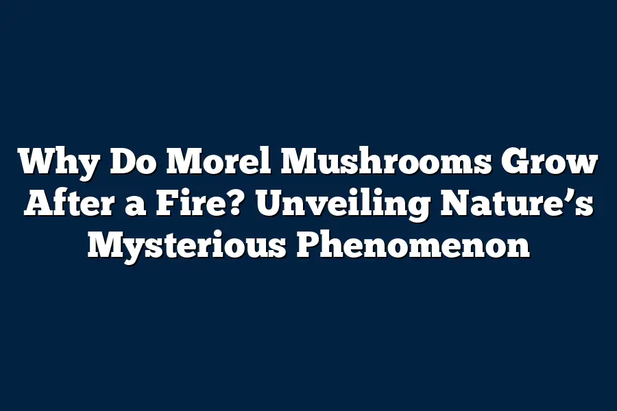 Why Do Morel Mushrooms Grow After a Fire? Unveiling Nature’s Mysterious Phenomenon